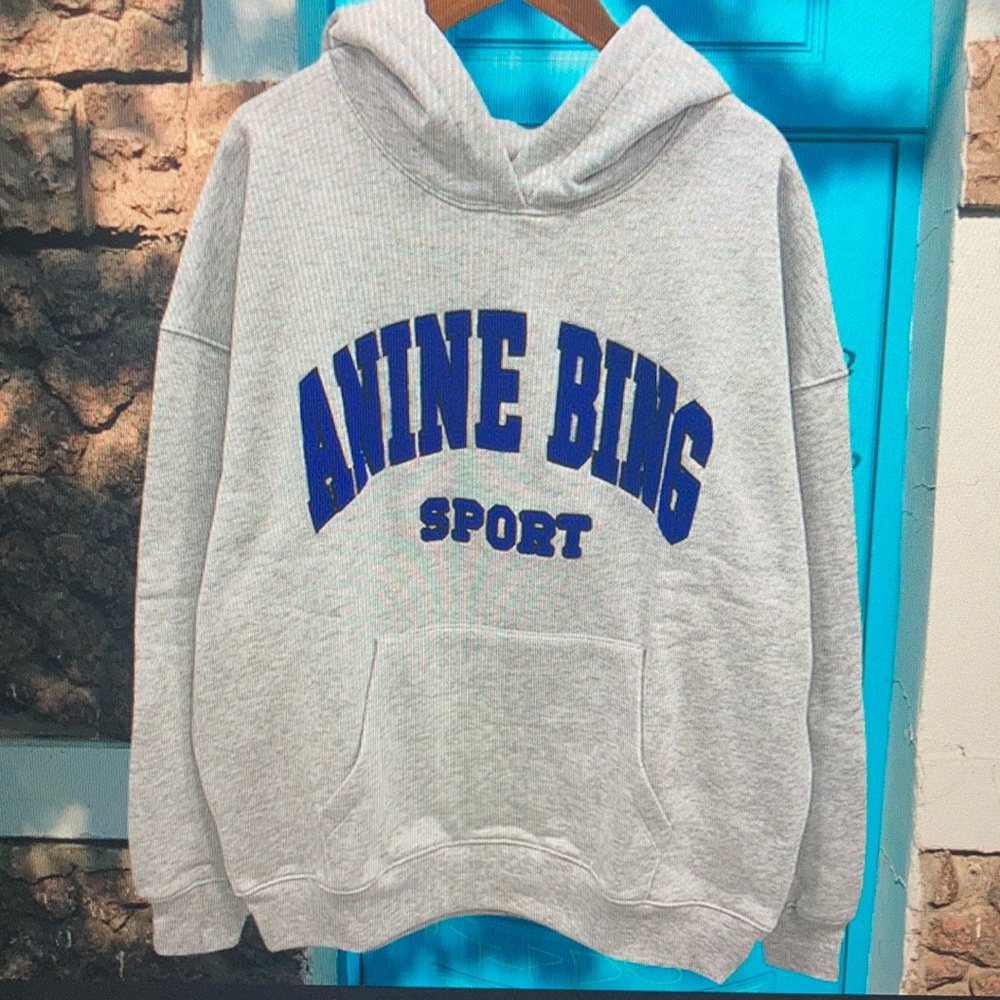 Gray sweatshirt Anine Bing Graphics hoodie
